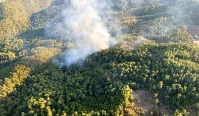 Muğla’da Orman Yangını Kontrol Altına Alındı