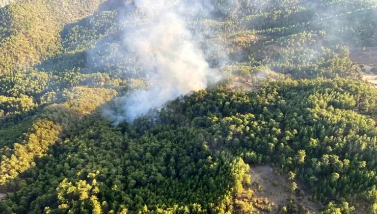 Muğla’da Orman Yangını Kontrol Altına Alındı